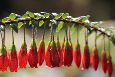 肇庆端州私人快速借钱网，轻松解决资金难题