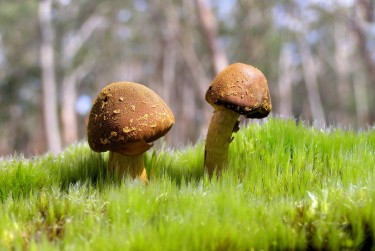 肇庆端州私人老板放款：轻松融资的秘密通道